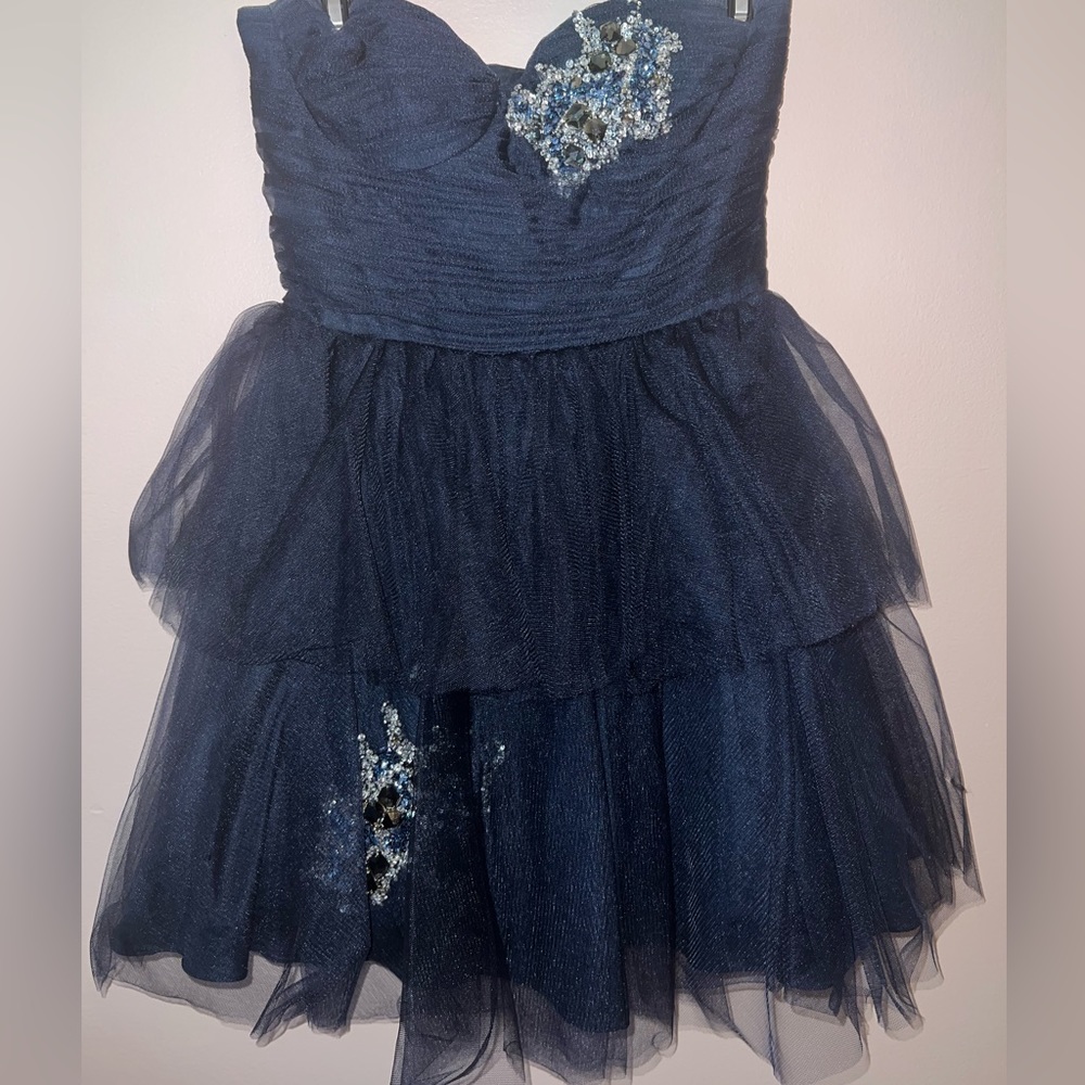 BASIX Navy Tulle Mini Dress